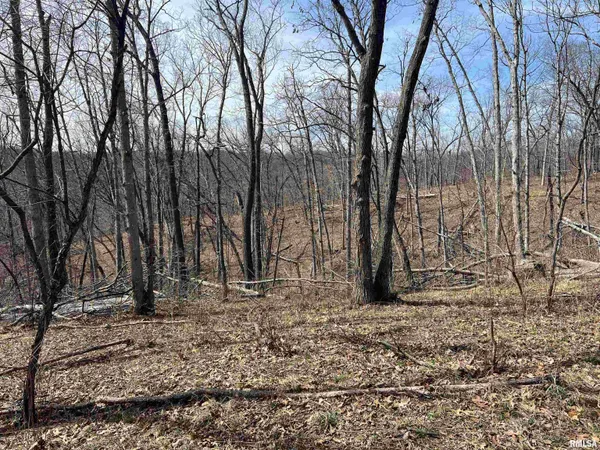 $612,000 | 0 East State Route 95, Marietta, IL 61459