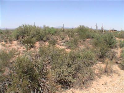 5225 North Sandario Road Tucson, AZ 85743 - Photo 2 of 5