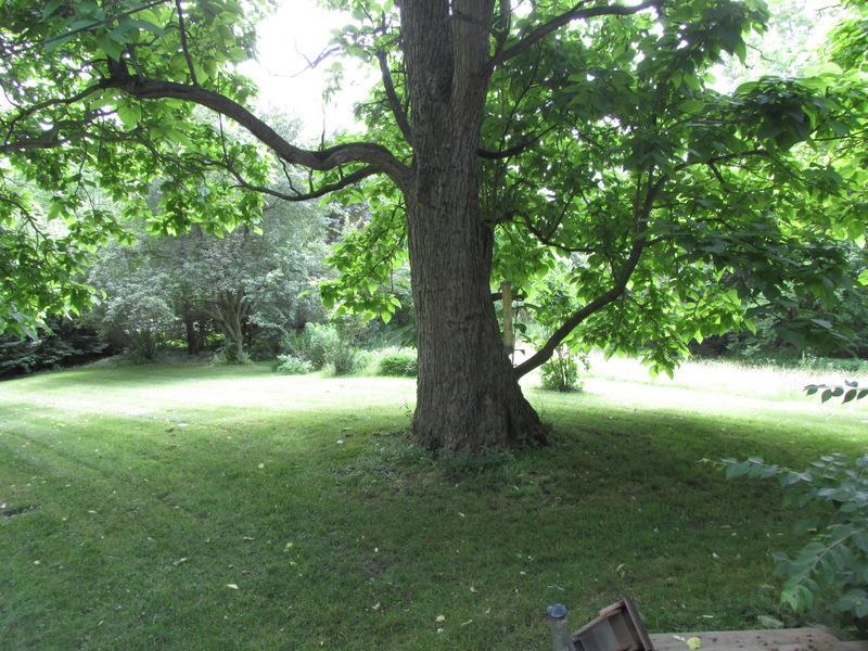 7364 Home Road Delaware, OH 43015 - Photo 11 of 13 Gallery Image 11
