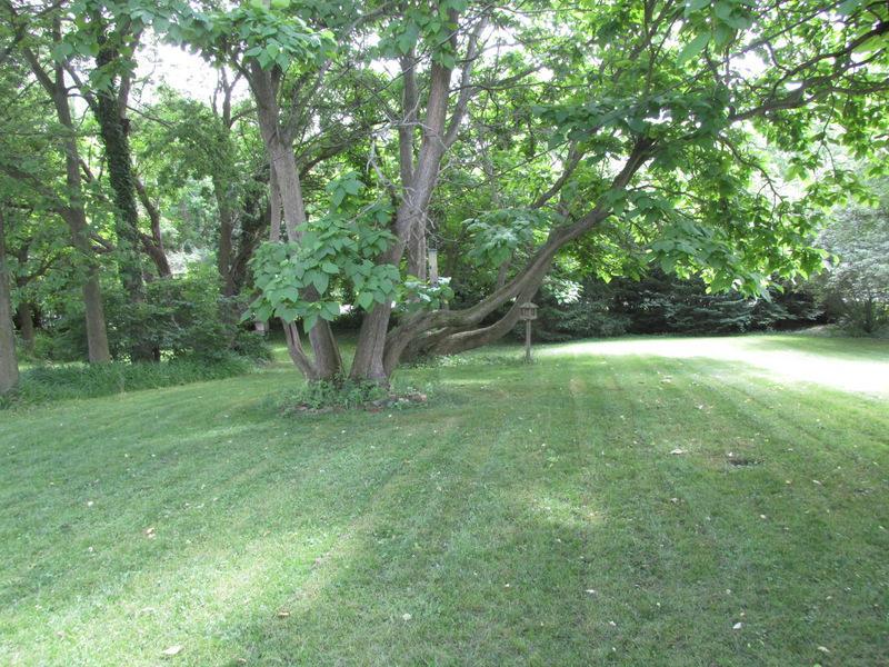 7364 Home Road Delaware, OH 43015 - Photo 10 of 13 Gallery Image 10