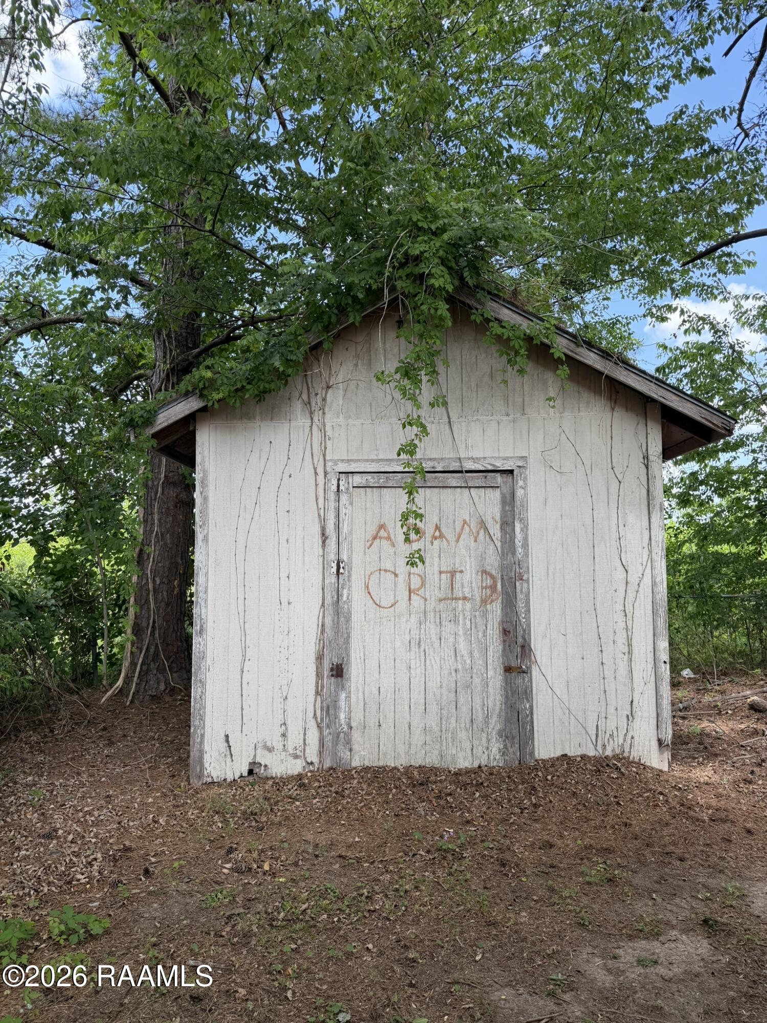 104 Gary Drive Church Point, LA 70525 - Photo 5 of 15 104 Gary Dr