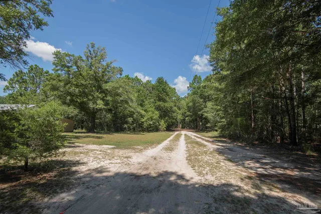 a view of a backyard with trees