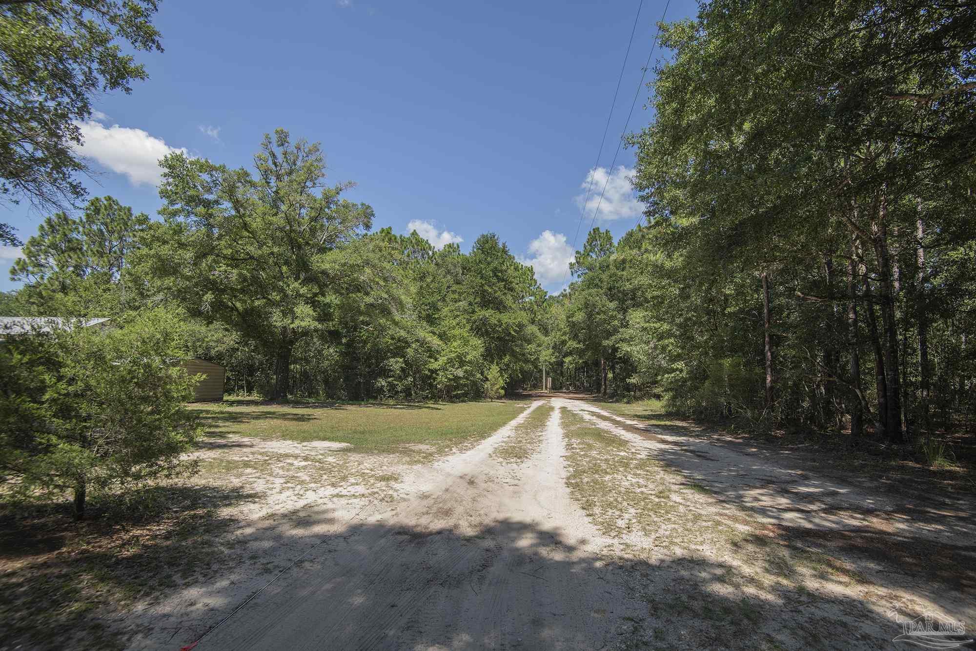 6739 Deception Road Milton, FL 32583 - Photo 23 of 24 a view of a backyard with trees