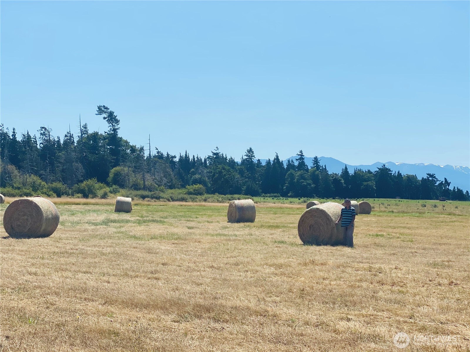 982 East Anderson Road Sequim, WA 98382 - Photo 24 of 40