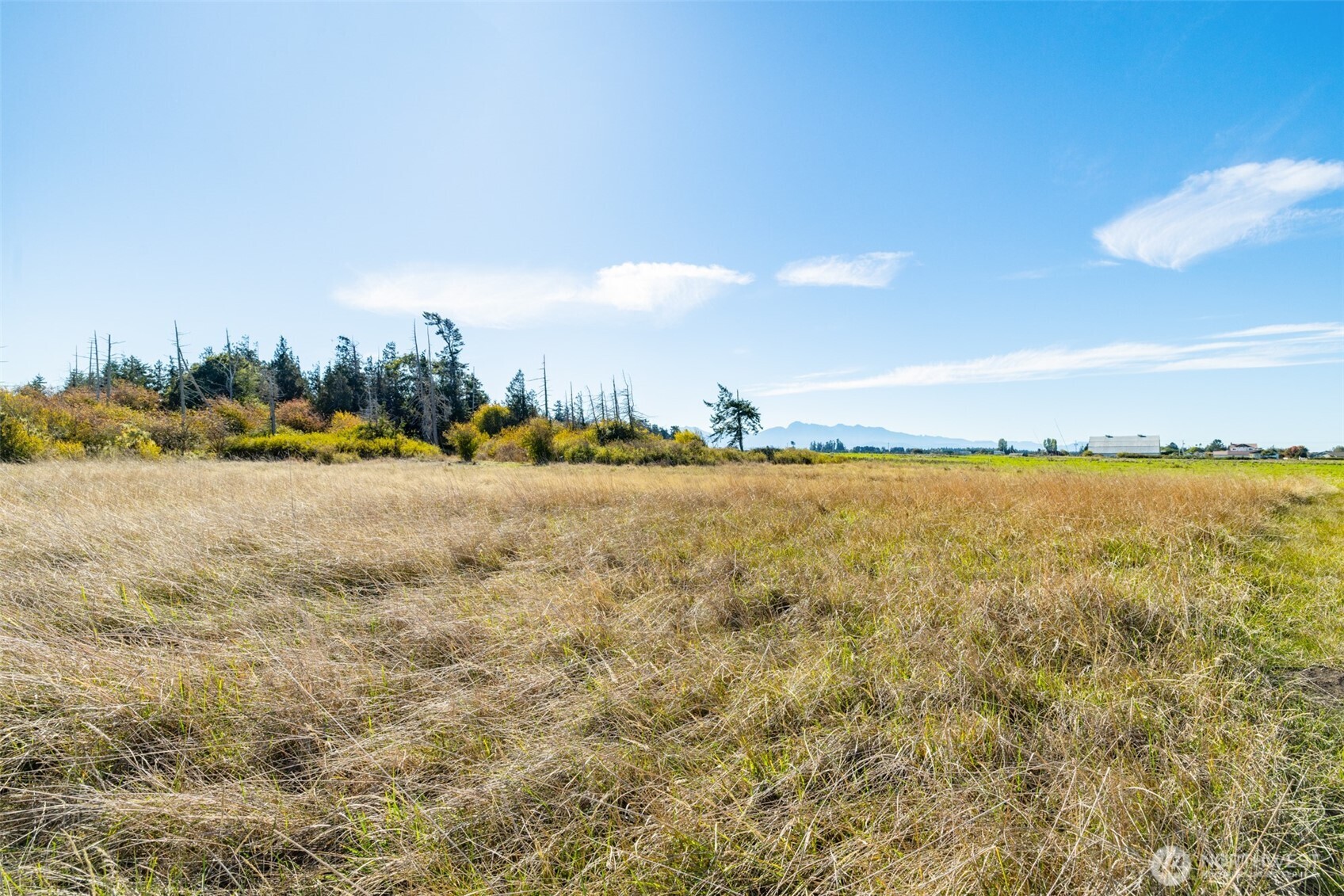 982 East Anderson Road Sequim, WA 98382 - Photo 31 of 40