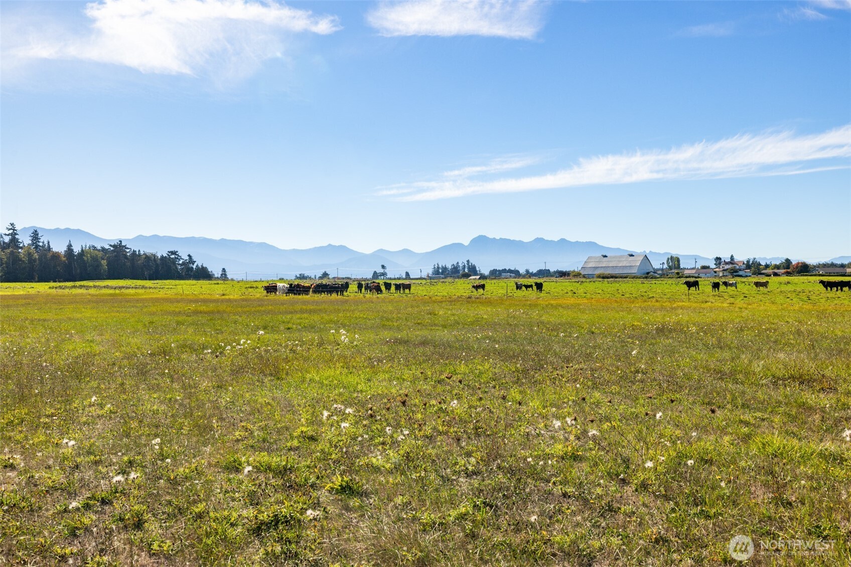 982 East Anderson Road Sequim, WA 98382 - Photo 36 of 40