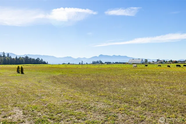 a view of a lake with houses in the back