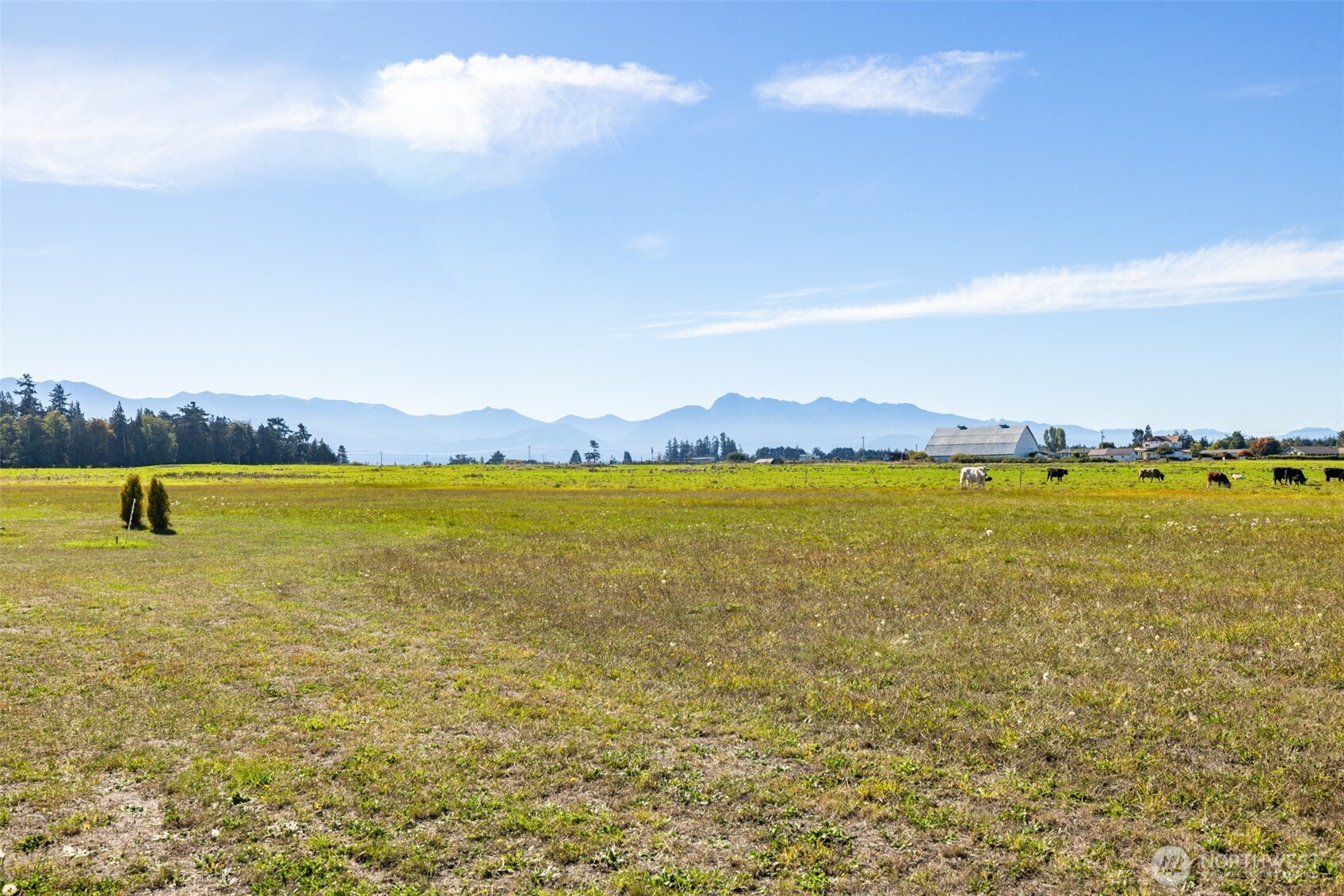 982 East Anderson Road Sequim, WA 98382 - Photo 8 of 40