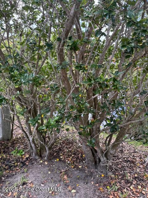 1352 Gem Circle, Unit 27 Rockledge, FL 32955 - Photo 19 of 19 IMG_6786