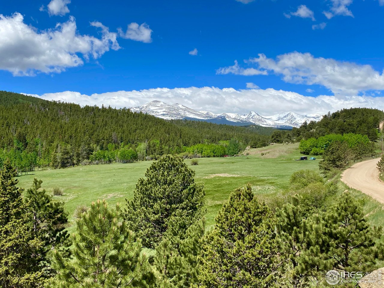 44 Riverside Lane Ward, CO 80481 - Photo 27 of 33 a view of an lush green mountain