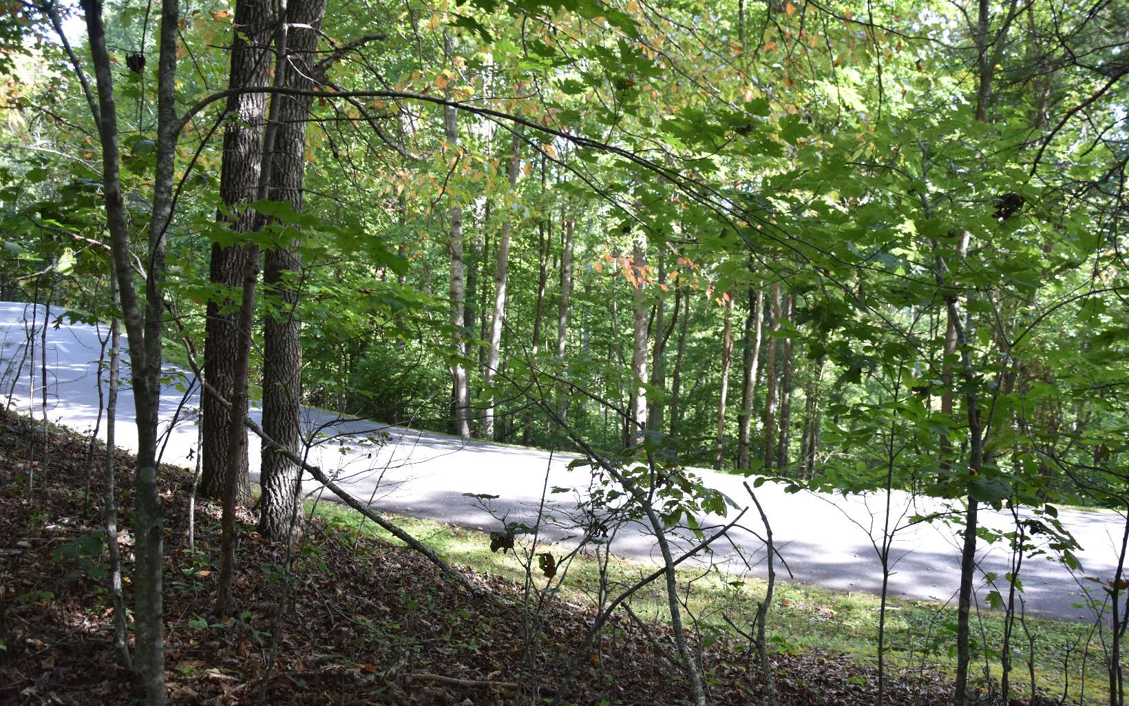 32 A Licklog Ridge Hayesville, NC 28904 - Photo 12 of 54 Additional View