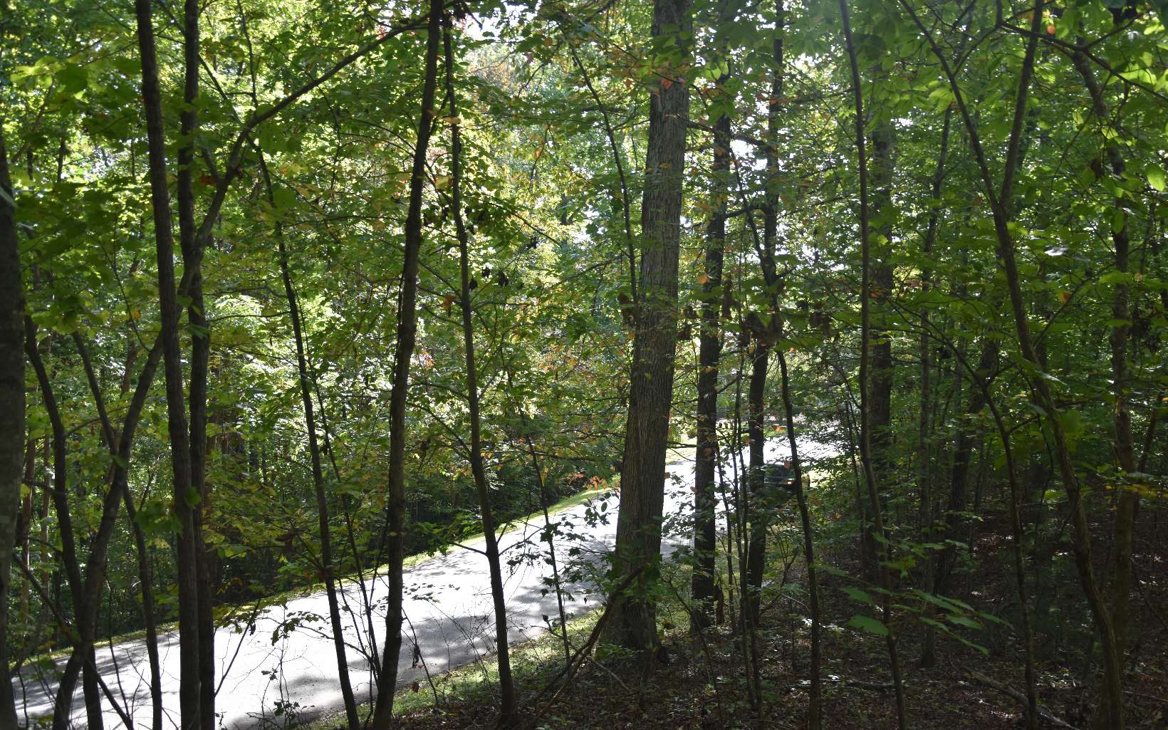 32 A Licklog Ridge Hayesville, NC 28904 - Photo 13 of 54 Additional View