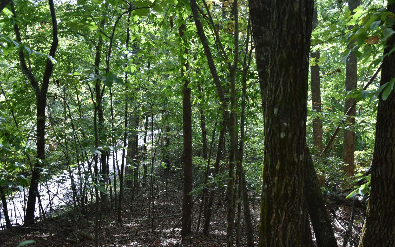 32 A Licklog Ridge Hayesville, NC 28904 - Photo 14 of 54 Additional View