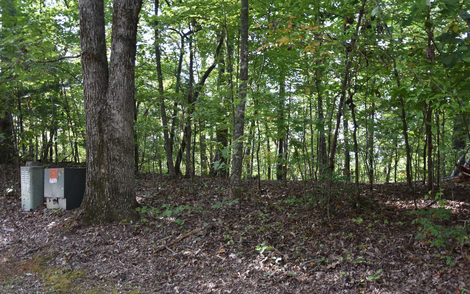 32 A Licklog Ridge Hayesville, NC 28904 - Photo 15 of 54 Additional View