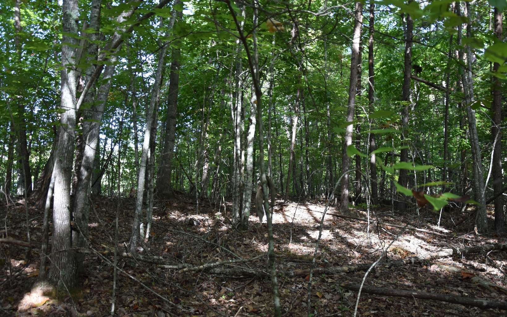 32 A Licklog Ridge Hayesville, NC 28904 - Photo 16 of 54 Additional View