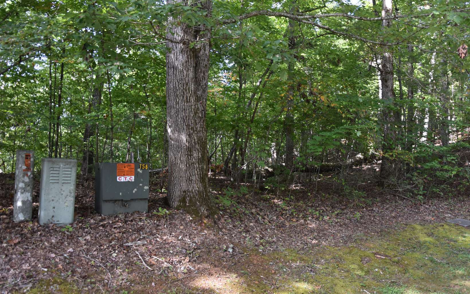 32 A Licklog Ridge Hayesville, NC 28904 - Photo 3 of 54 Additional View