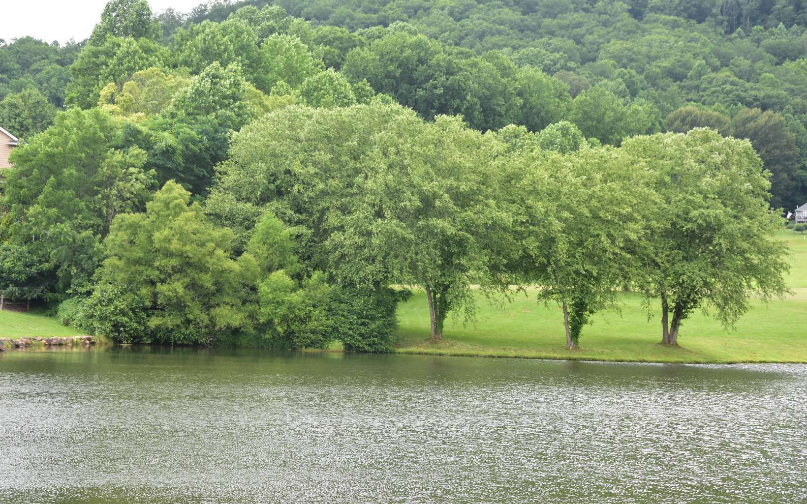 32 A Licklog Ridge Hayesville, NC 28904 - Photo 36 of 54 Additional View