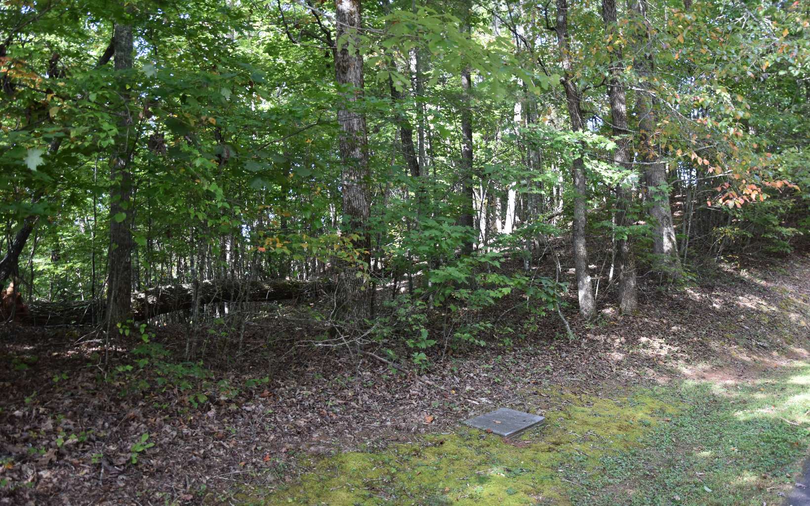 32 A Licklog Ridge Hayesville, NC 28904 - Photo 4 of 54 Additional View