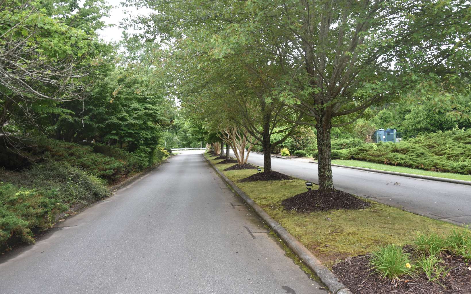 32 A Licklog Ridge Hayesville, NC 28904 - Photo 53 of 54 Additional View