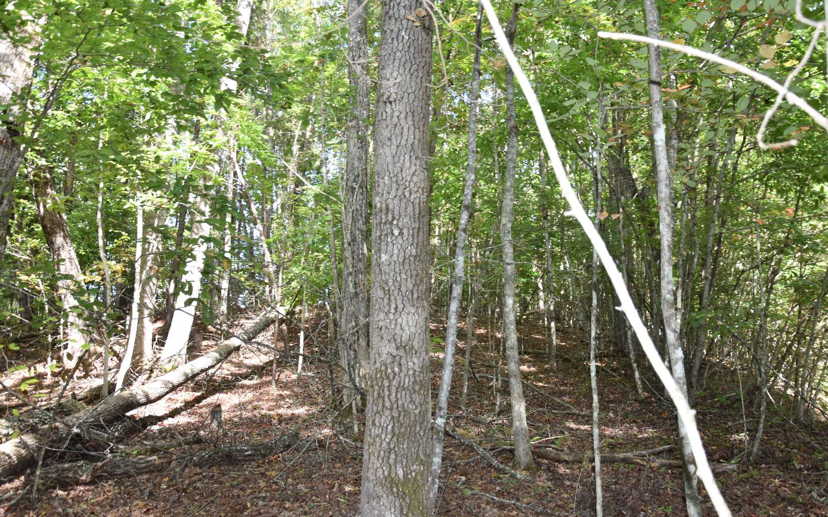 32 A Licklog Ridge Hayesville, NC 28904 - Photo 6 of 54 Additional View