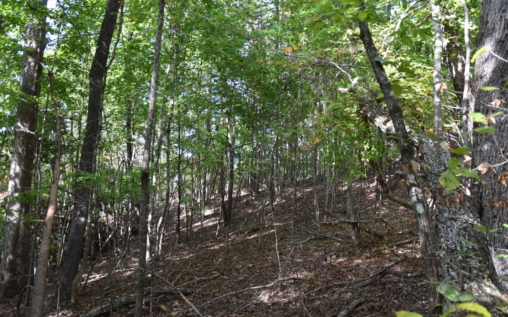 32 A Licklog Ridge Hayesville, NC 28904 - Photo 7 of 54 Additional View