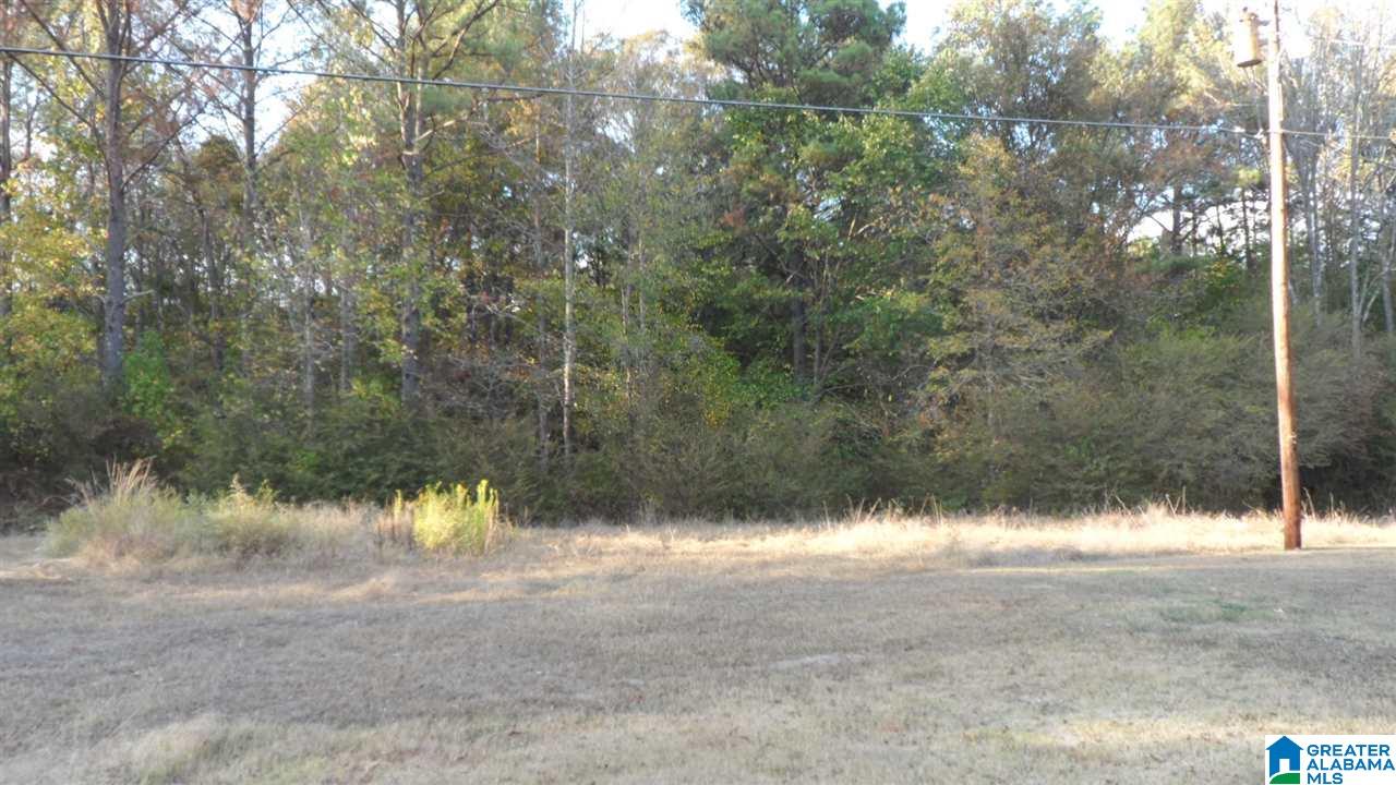 407 West Point Road Jacksonville, AL 36265 - Photo 15 of 15