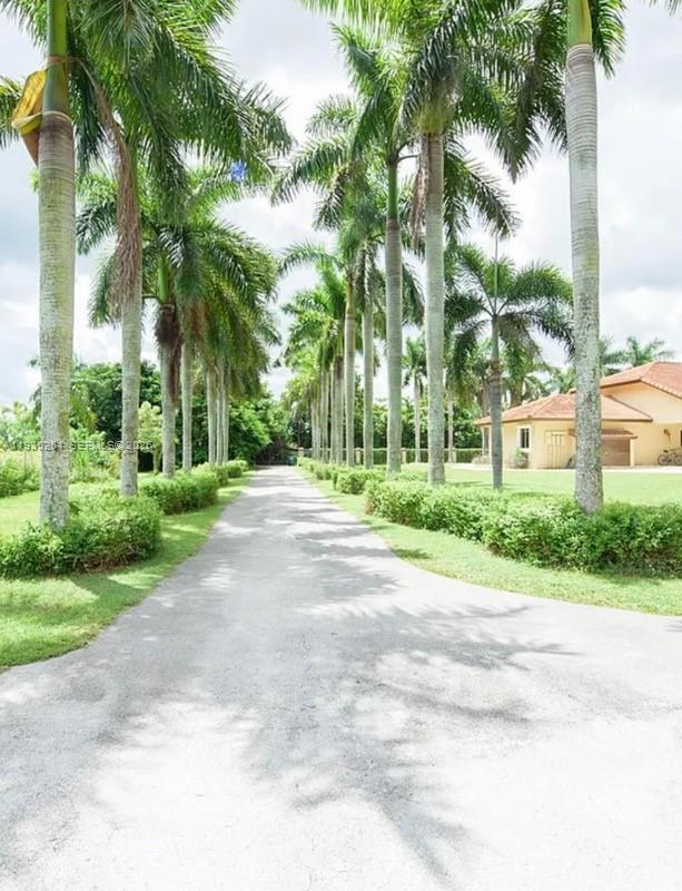 19701 Southwest 197th Avenue Miami, FL 33187 - Photo 17 of 19 a view of a street with a palm trees