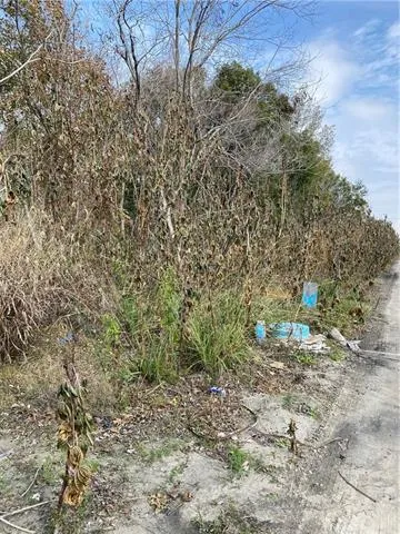 $13,000 | 41375 Lawrence Street, New Orleans, LA 70114