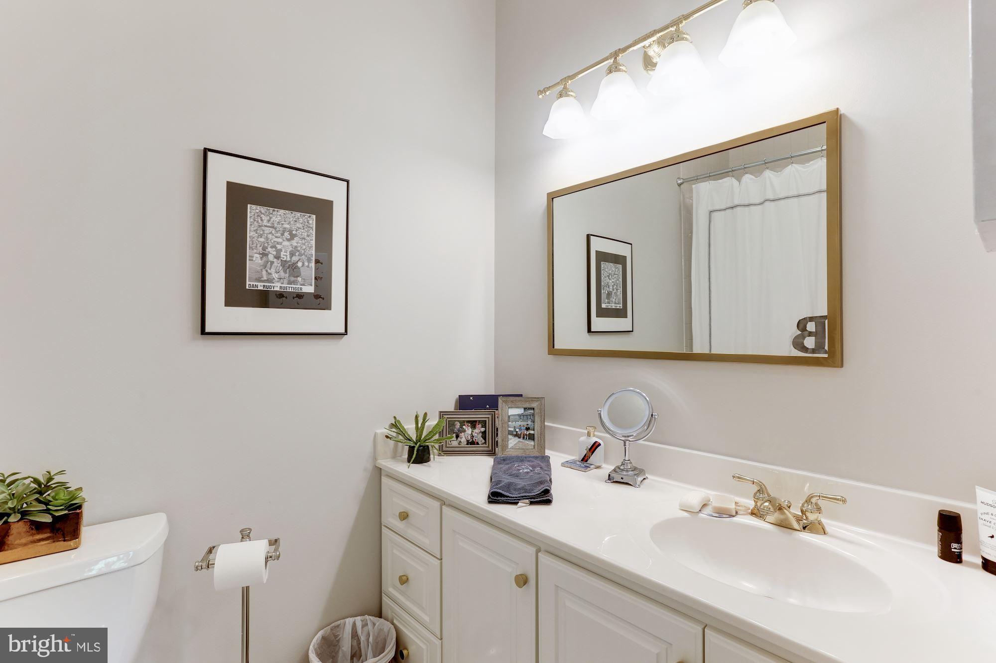 10000 Mt Airy Road Upperville, VA 20184 - Photo 42 of 92 Gallery Image 42
