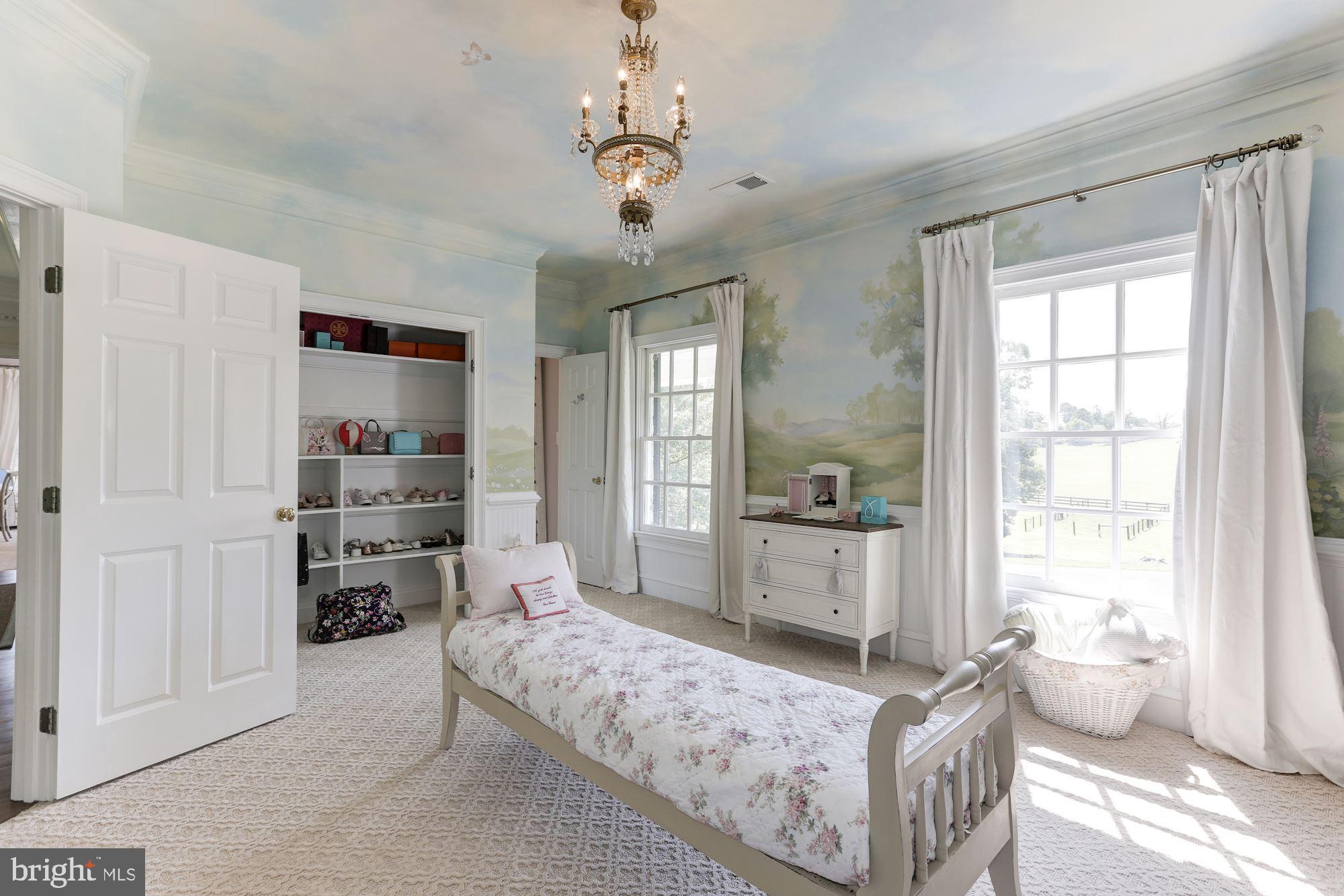 10000 Mt Airy Road Upperville, VA 20184 - Photo 44 of 92 Gallery Image 44