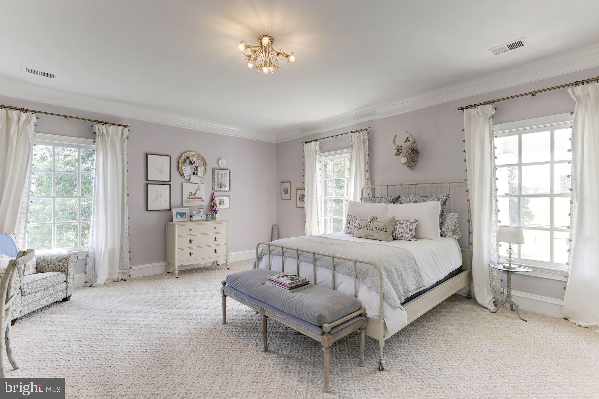 10000 Mt Airy Road Upperville, VA 20184 - Photo 45 of 92 Gallery Image 45
