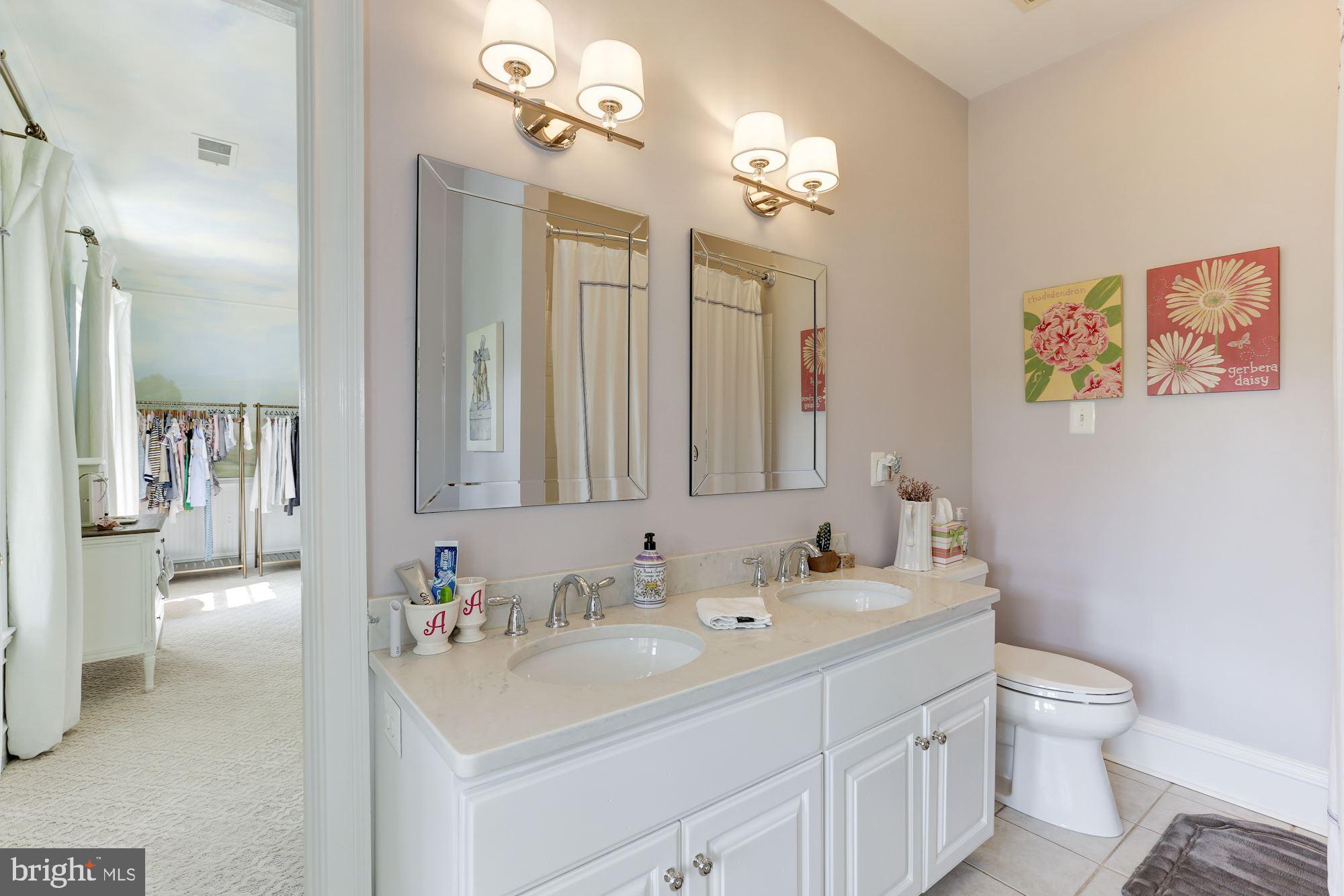 10000 Mt Airy Road Upperville, VA 20184 - Photo 46 of 92 Gallery Image 46
