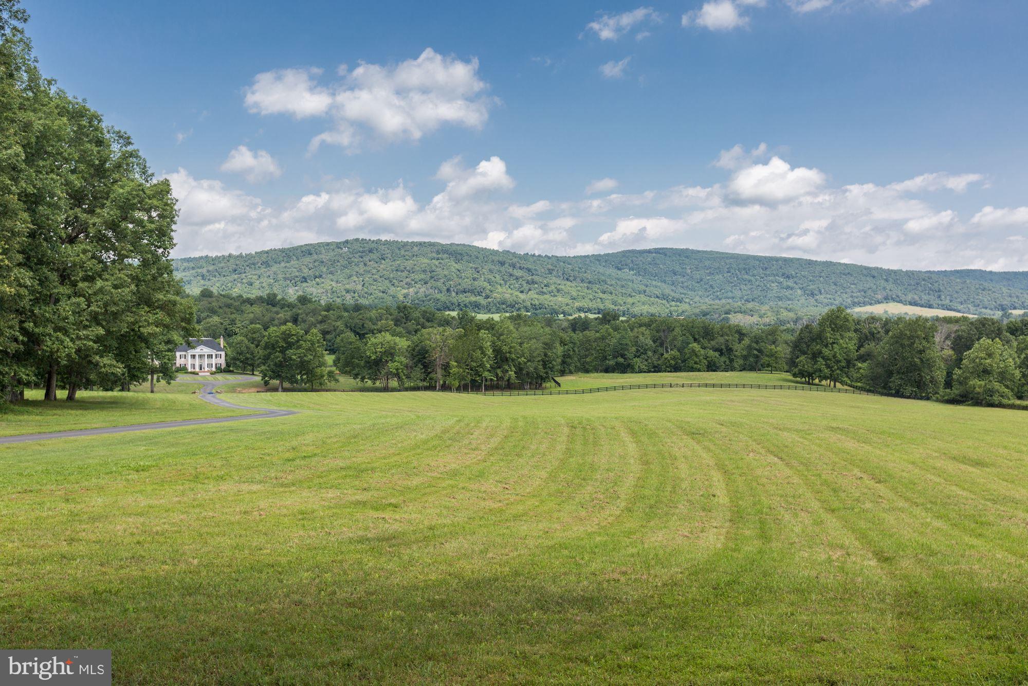 10000 Mt Airy Road Upperville, VA 20184 - Photo 88 of 92 Gallery Image 88