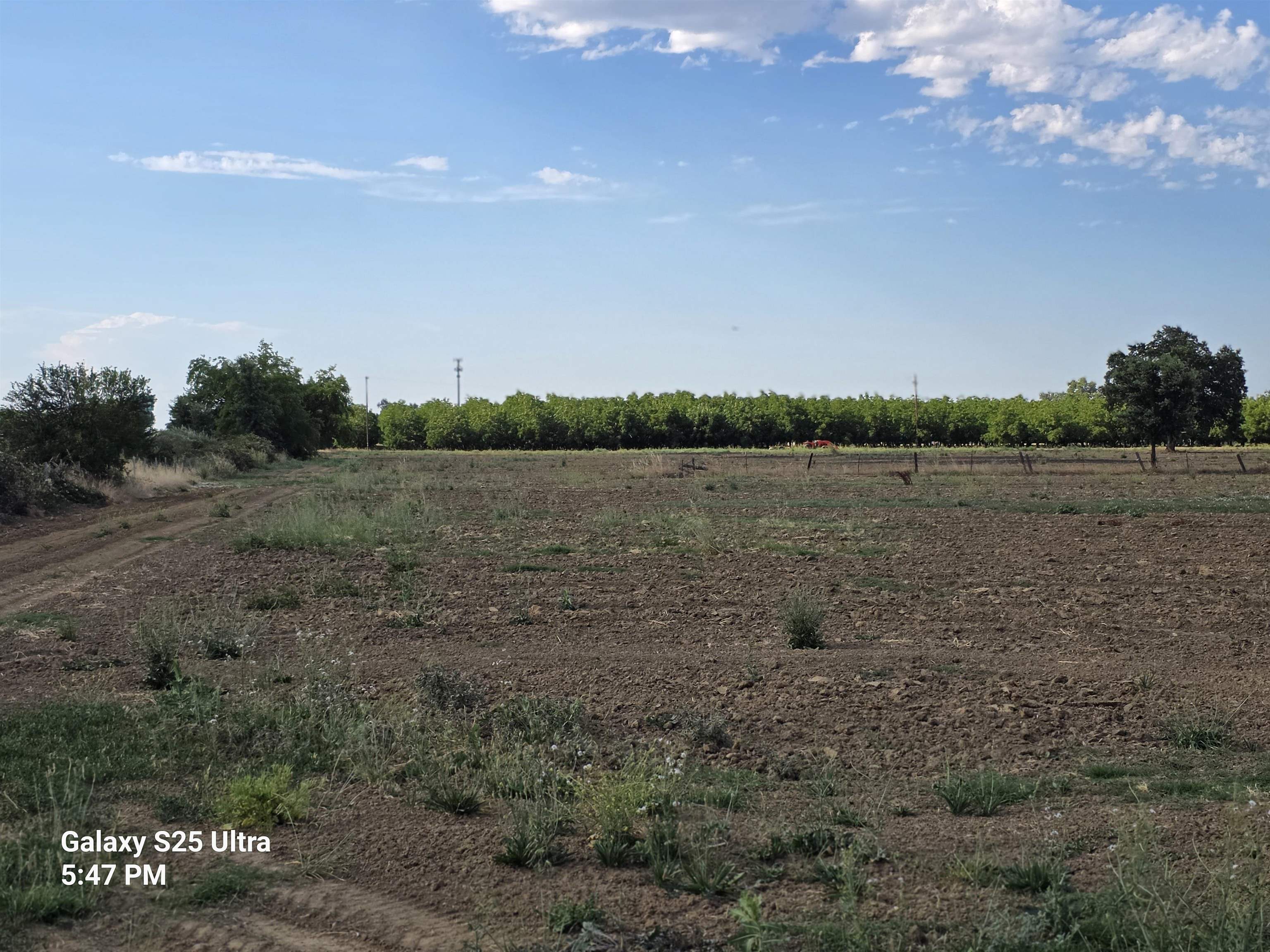 0 Hwy 99 W, Unit INTERSTATE 5 Corning, CA 96021 - Photo 3 of 10