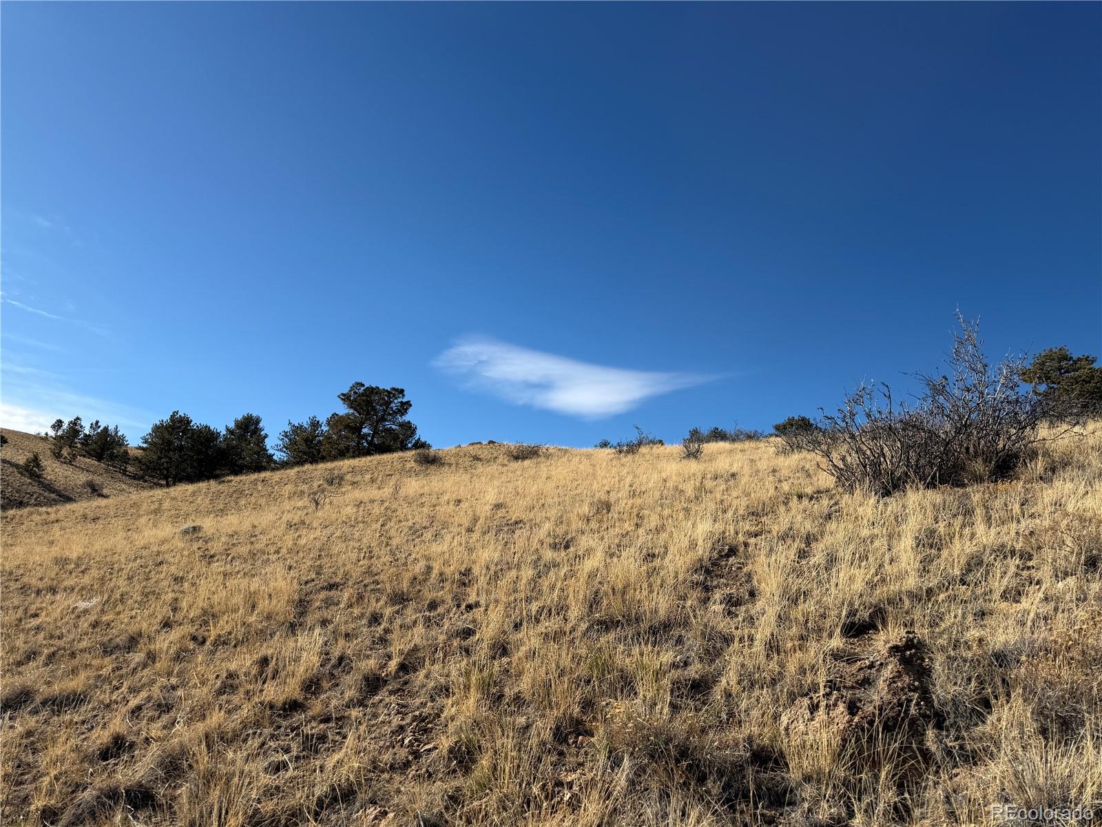 Oak Street Hartsel, CO 80449 - Photo 3 of 12 a view of mountain view and mountain