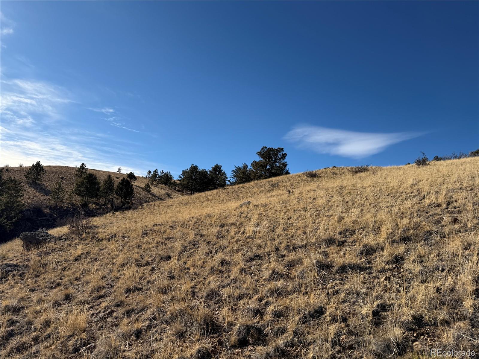 Oak Street Hartsel, CO 80449 - Photo 4 of 12 a view of a snow on a mountain