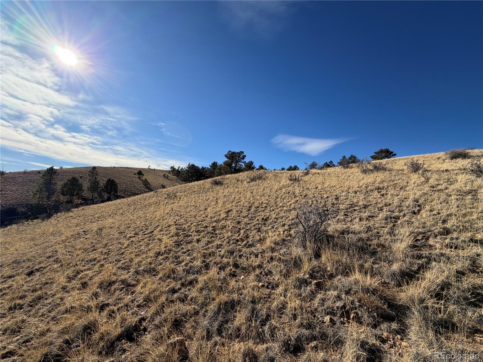 Oak Street Hartsel, CO 80449 - Photo 6 of 12 a view of a snow on a mountain