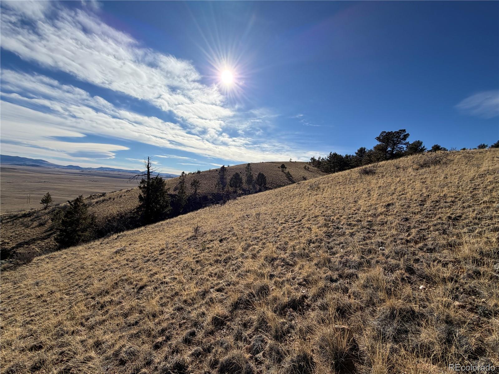 Oak Street Hartsel, CO 80449 - Photo 7 of 12 a view of a dry yard with wooden fence