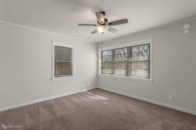 a view of a yard with a tree