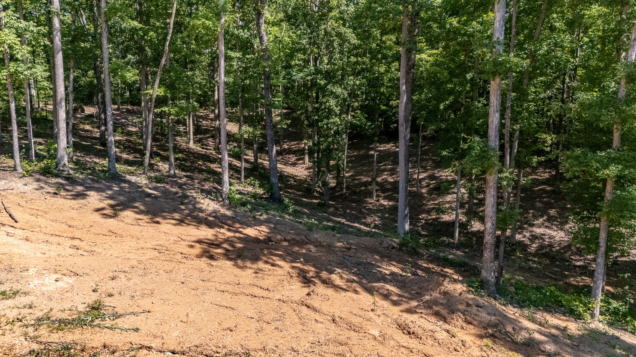 1239 Cherokee Road Waynesboro, TN 38485 - Photo 29 of 36