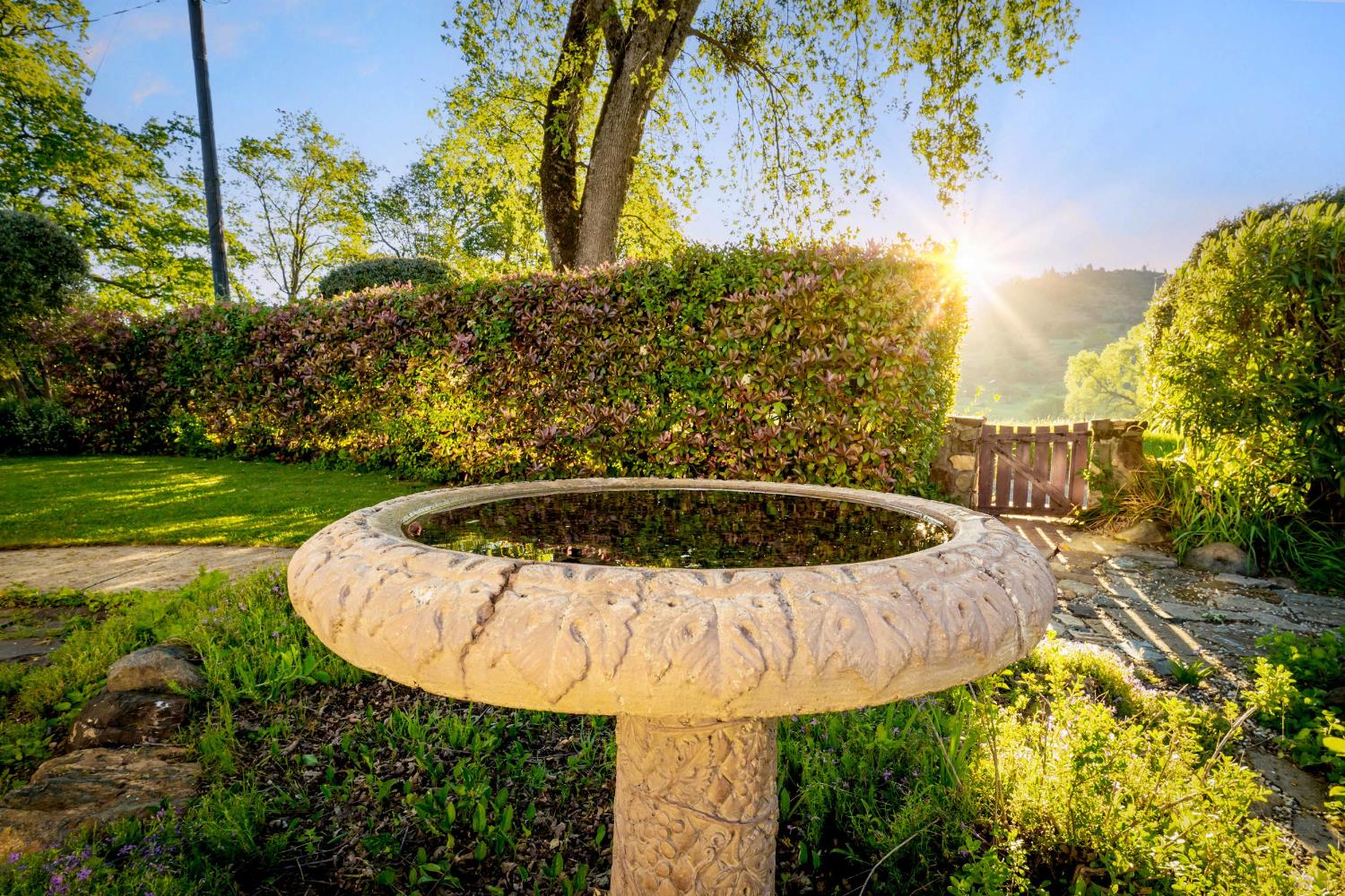 12602 Spenceville Road Penn Valley, CA 95946 - Photo 36 of 59