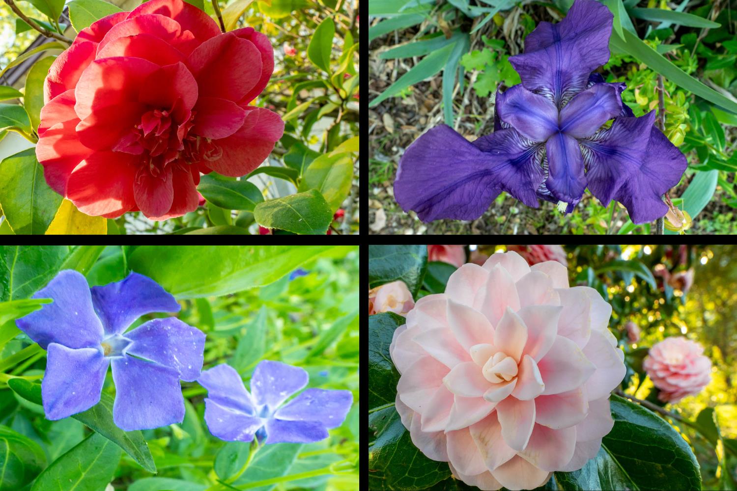 12602 Spenceville Road Penn Valley, CA 95946 - Photo 38 of 59