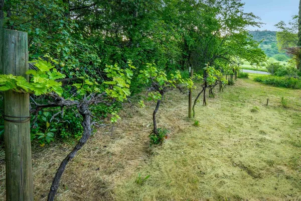 $576,000 | 12602 Spenceville Road, Penn Valley, CA 95946
