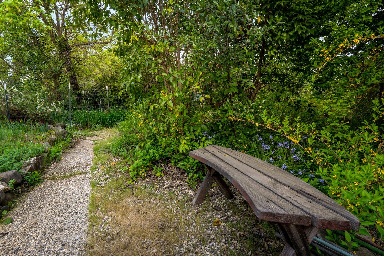 12602 Spenceville Road Penn Valley, CA 95946 - Photo 46 of 59