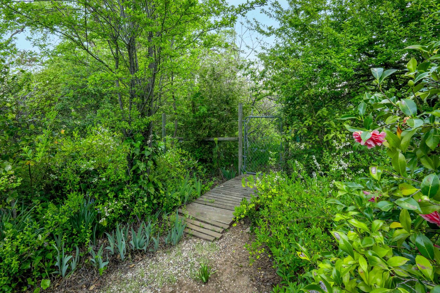 12602 Spenceville Road Penn Valley, CA 95946 - Photo 47 of 59