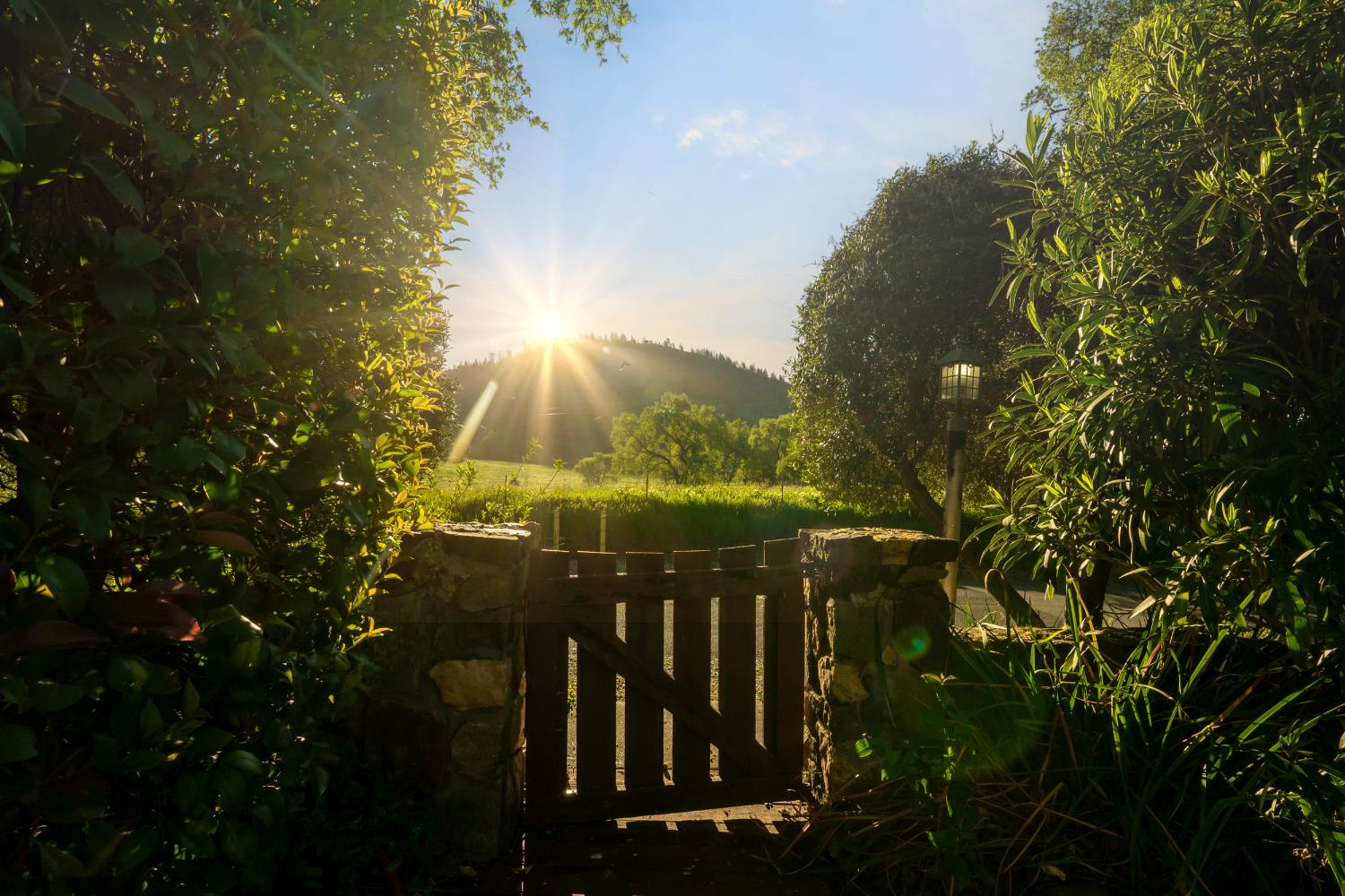 12602 Spenceville Road Penn Valley, CA 95946 - Photo 49 of 59