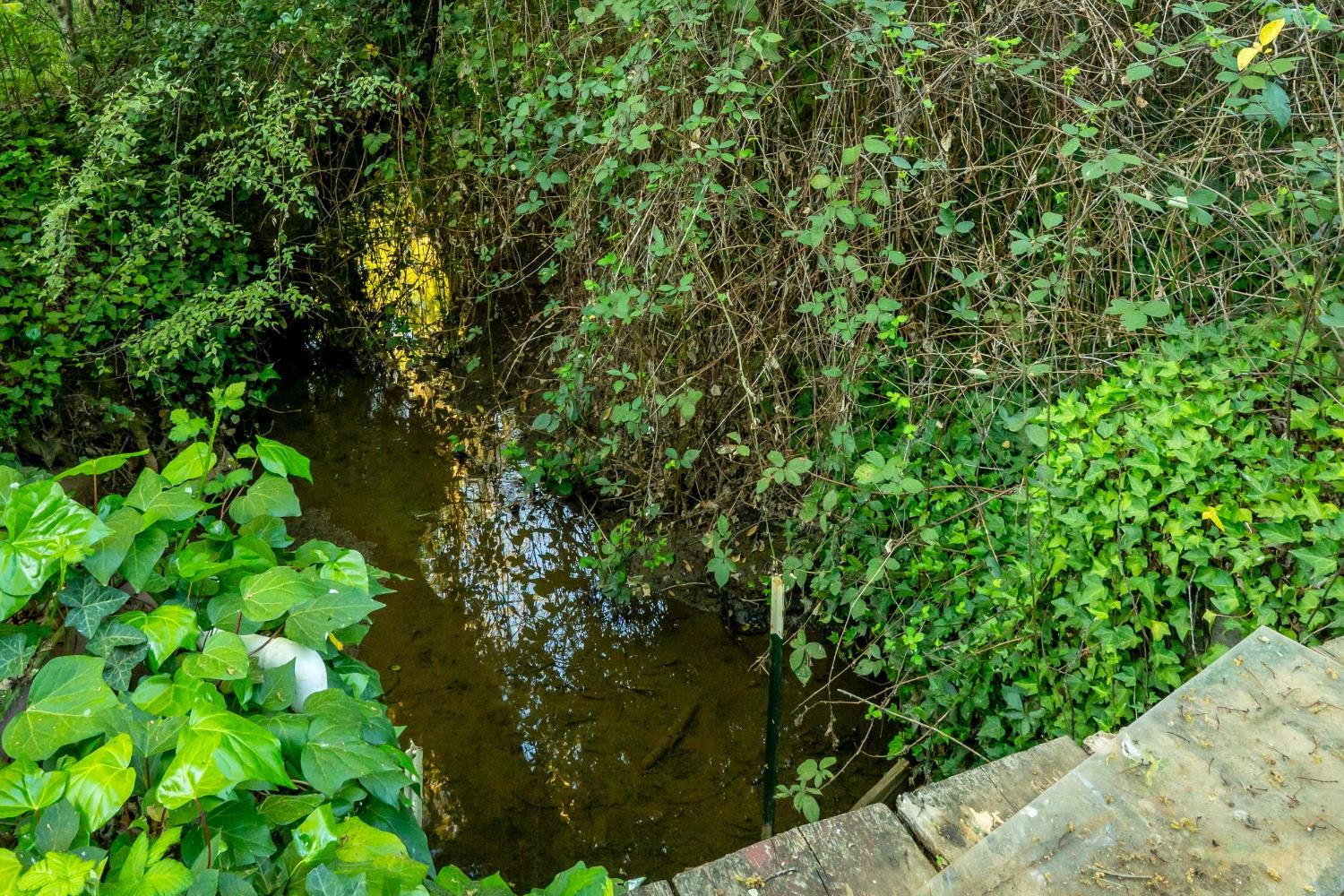 12602 Spenceville Road Penn Valley, CA 95946 - Photo 51 of 59