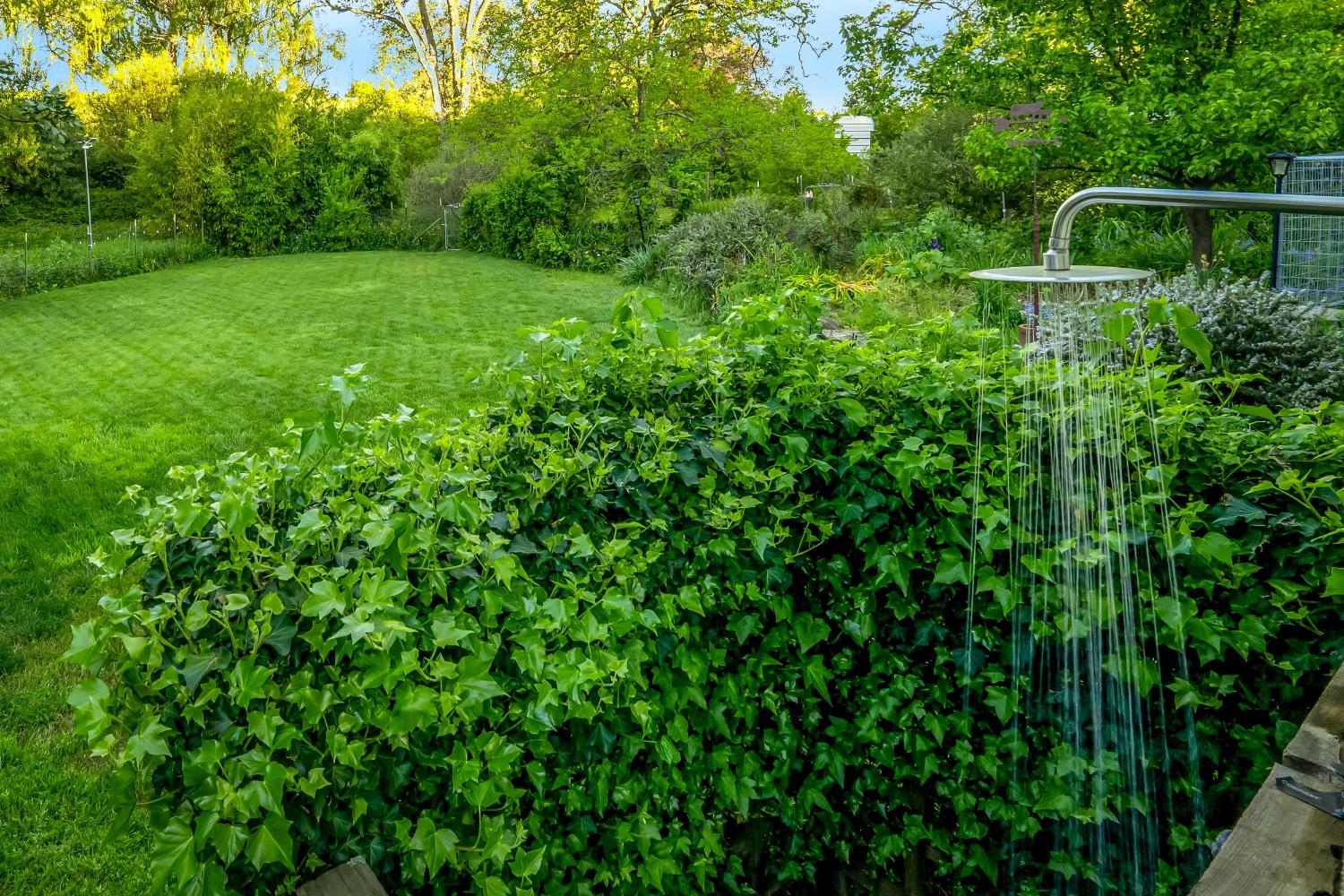 12602 Spenceville Road Penn Valley, CA 95946 - Photo 52 of 59