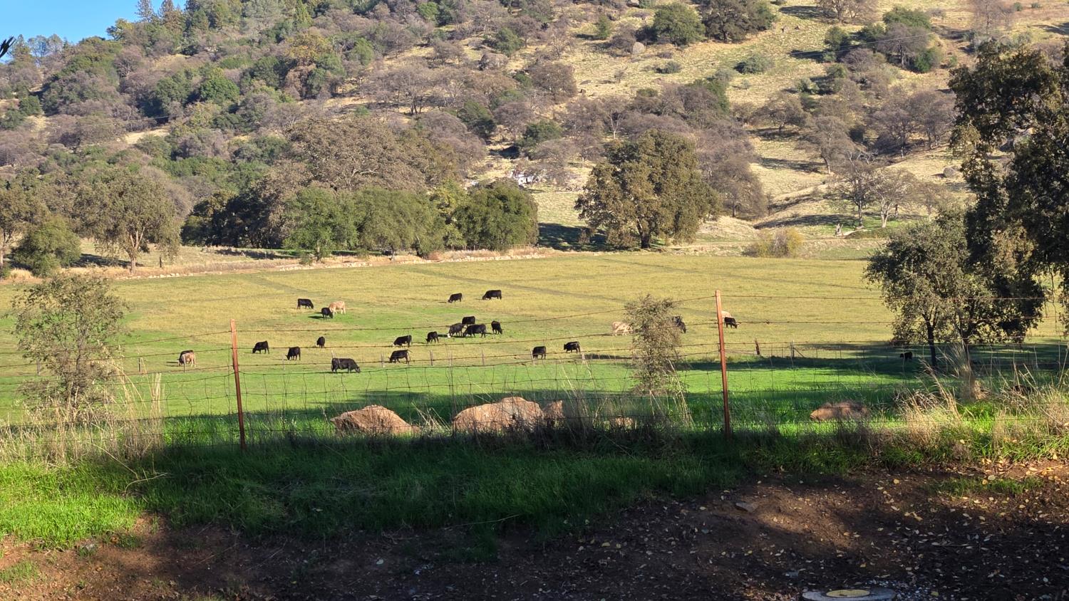 12602 Spenceville Road Penn Valley, CA 95946 - Photo 58 of 59 Quiet Neighbors