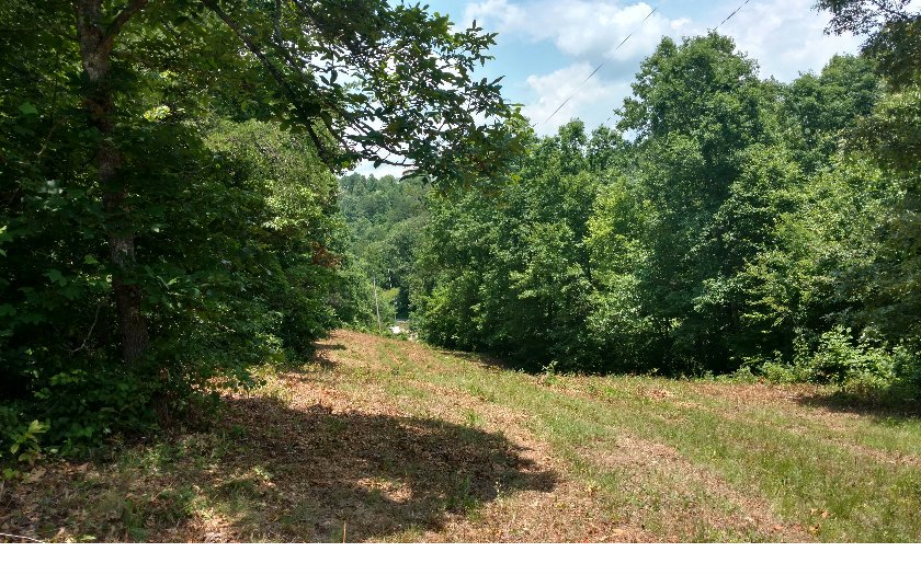 Brasstown Ridge Brasstown, NC 28902 - Photo 1 of 1 Main View